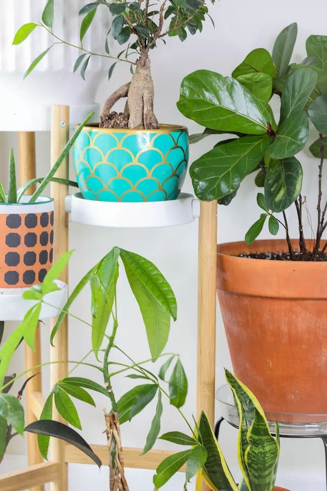 Indoor Planters For Your Home