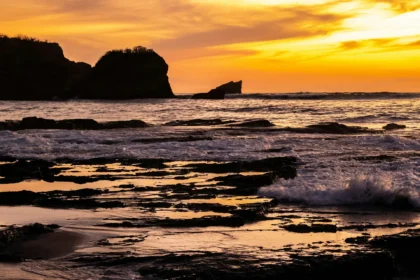 Nature Trails and Wildlife: Hiking in the Nosara Biological Reserve — Nosara, Costa Rica: Activities and Attractions
