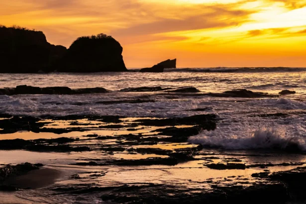 Nature Trails and Wildlife: Hiking in the Nosara Biological Reserve — Nosara, Costa Rica: Activities and Attractions