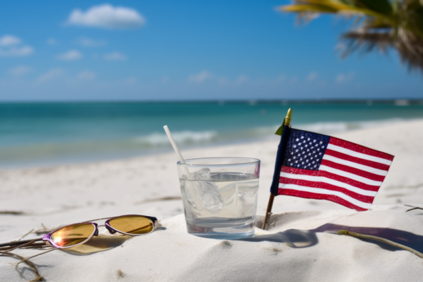 Introduction — Drinking Age in USA