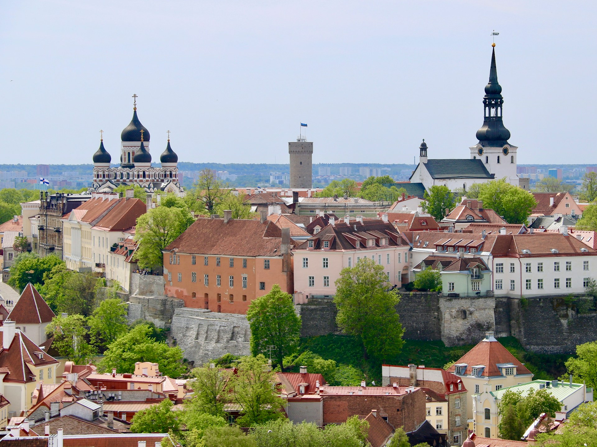 Estonia 2026: One of Europe's Hidden Gems — Tallinn, Saaremaa, Bogs