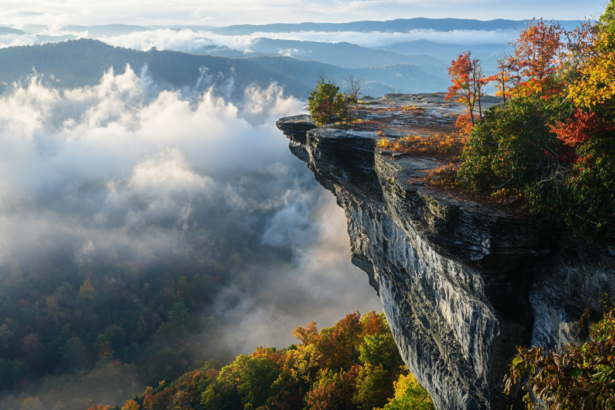 3. North Carolina — Autumn Foliage Trips