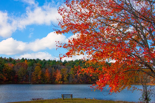 new england in autumn