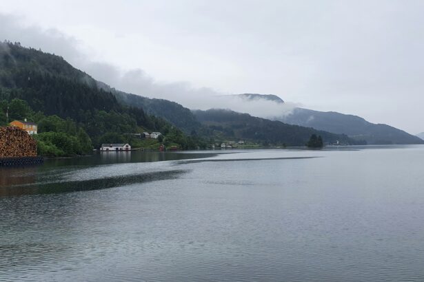 Norwegian fjord with traditional wooden houses and snow-capped mountains — the Scandinavian landscape that shaped its culture
