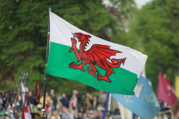 A Brief Guide to Wales