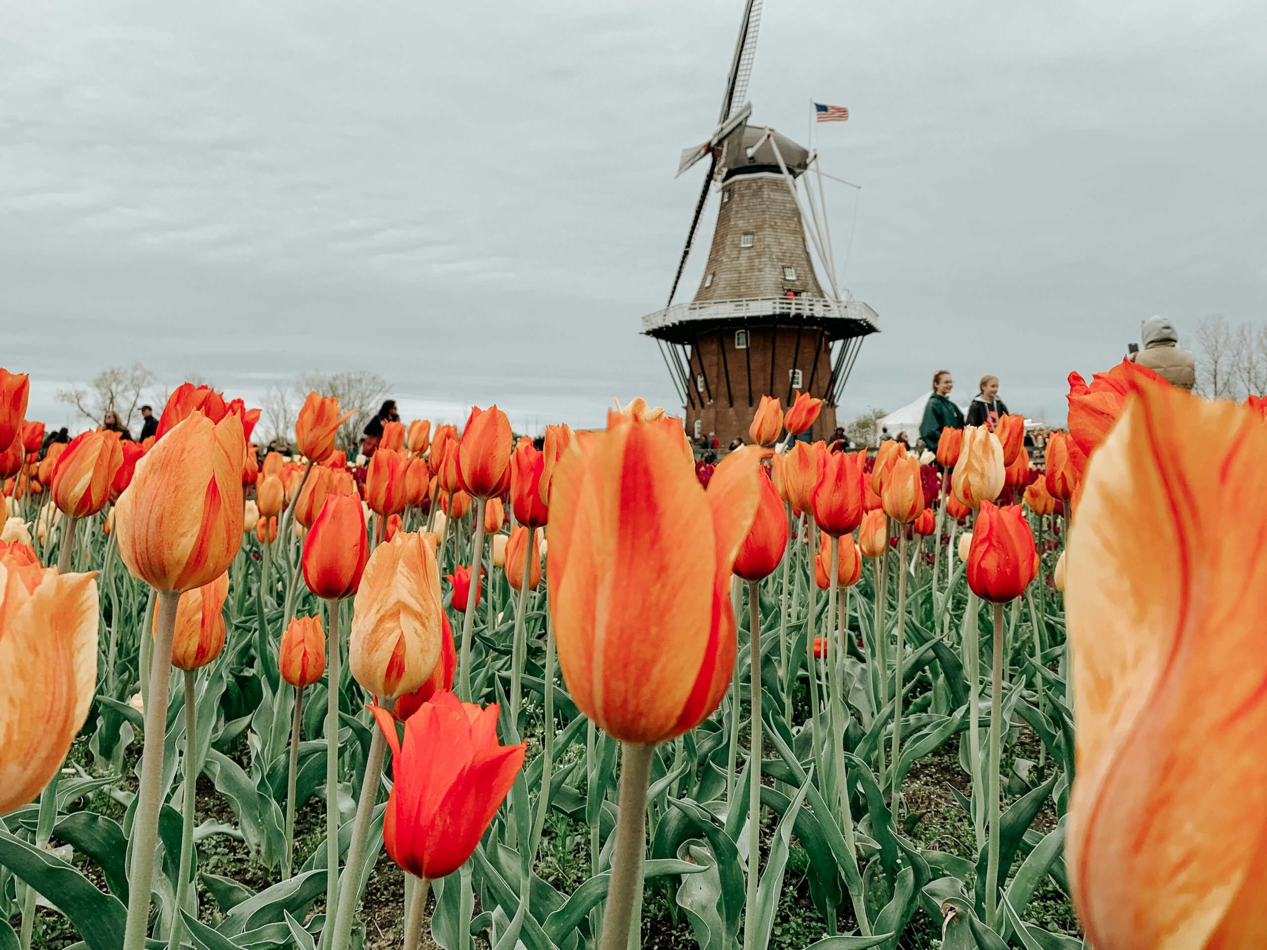 A Guide to Holland 2026: Netherlands Travel — Amsterdam, Tulips, Canals