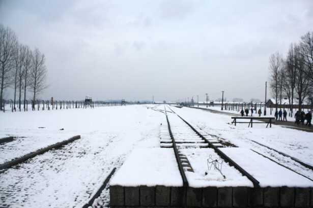 Auschwitz – The Concentration Camp For Jews