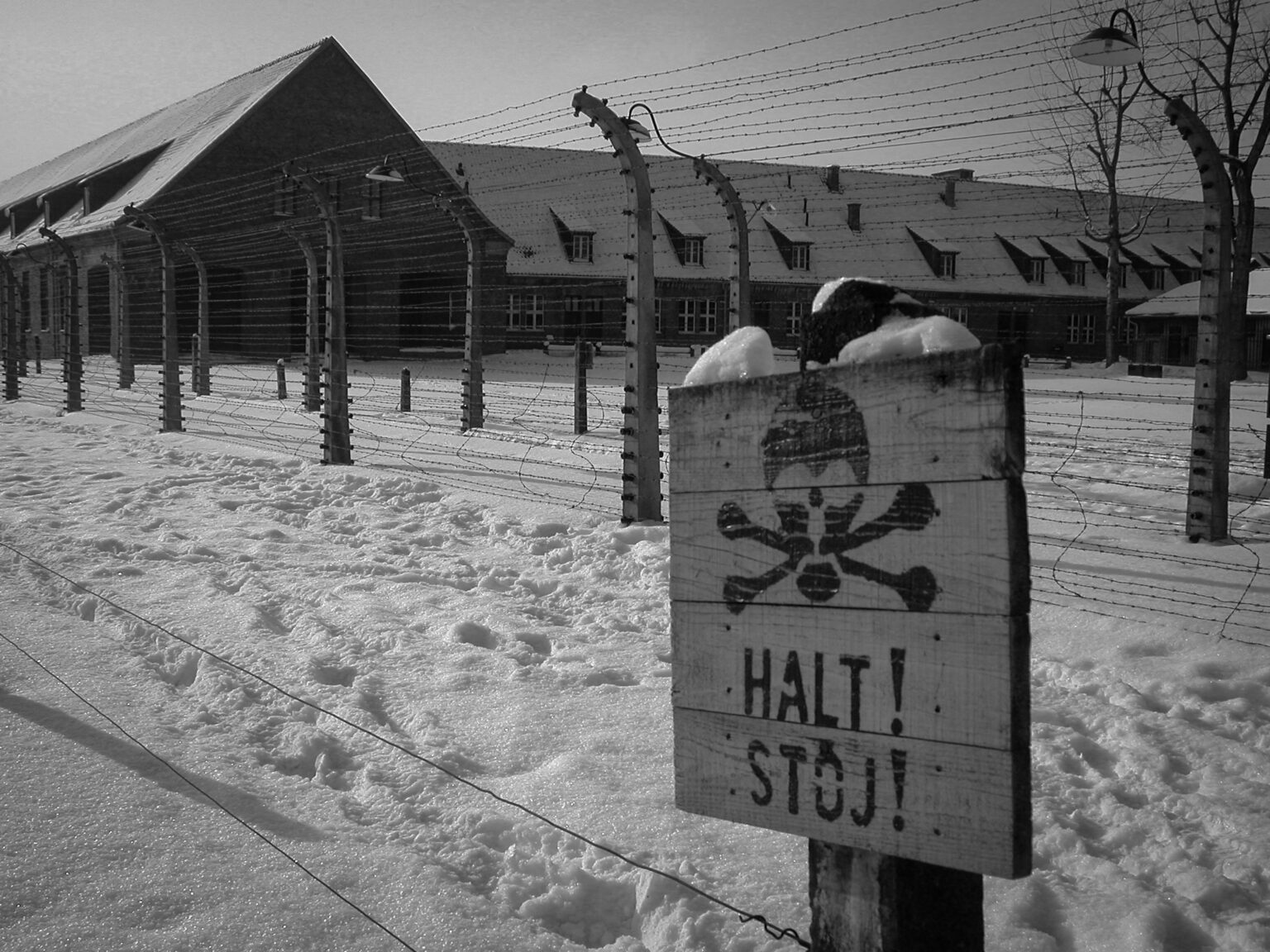 Auschwitz – The Factory of Death