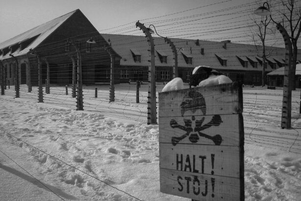 Auschwitz – The Factory of Death