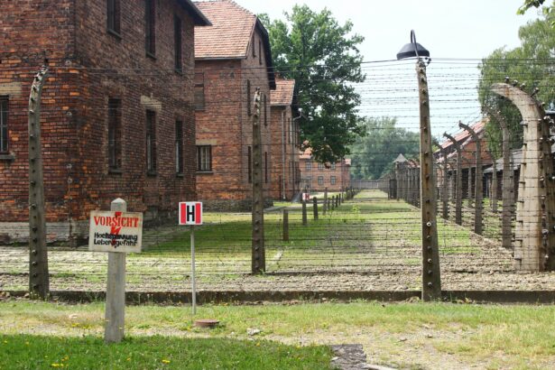 Auschwitz – The Site of Terror and Murder