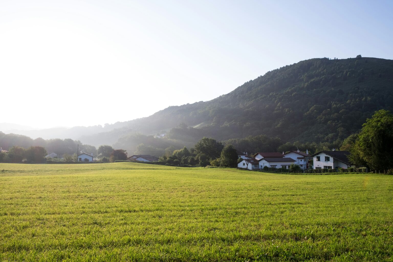 Basque Country – A Diverse and Unique Group