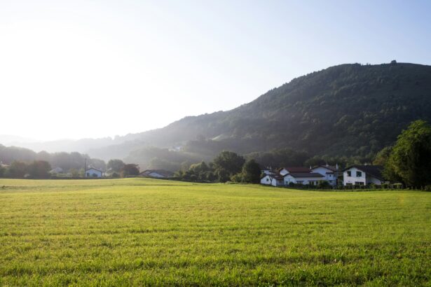 Basque Country – A Diverse and Unique Group