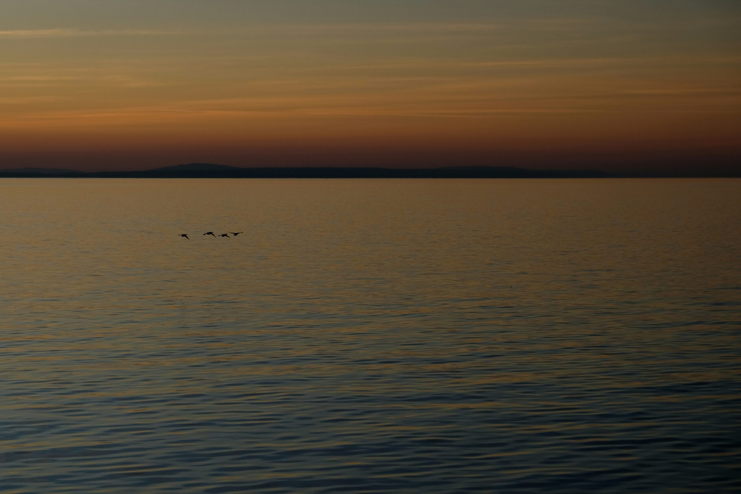 Bodensee an der Grenze Deutschland-Schweiz