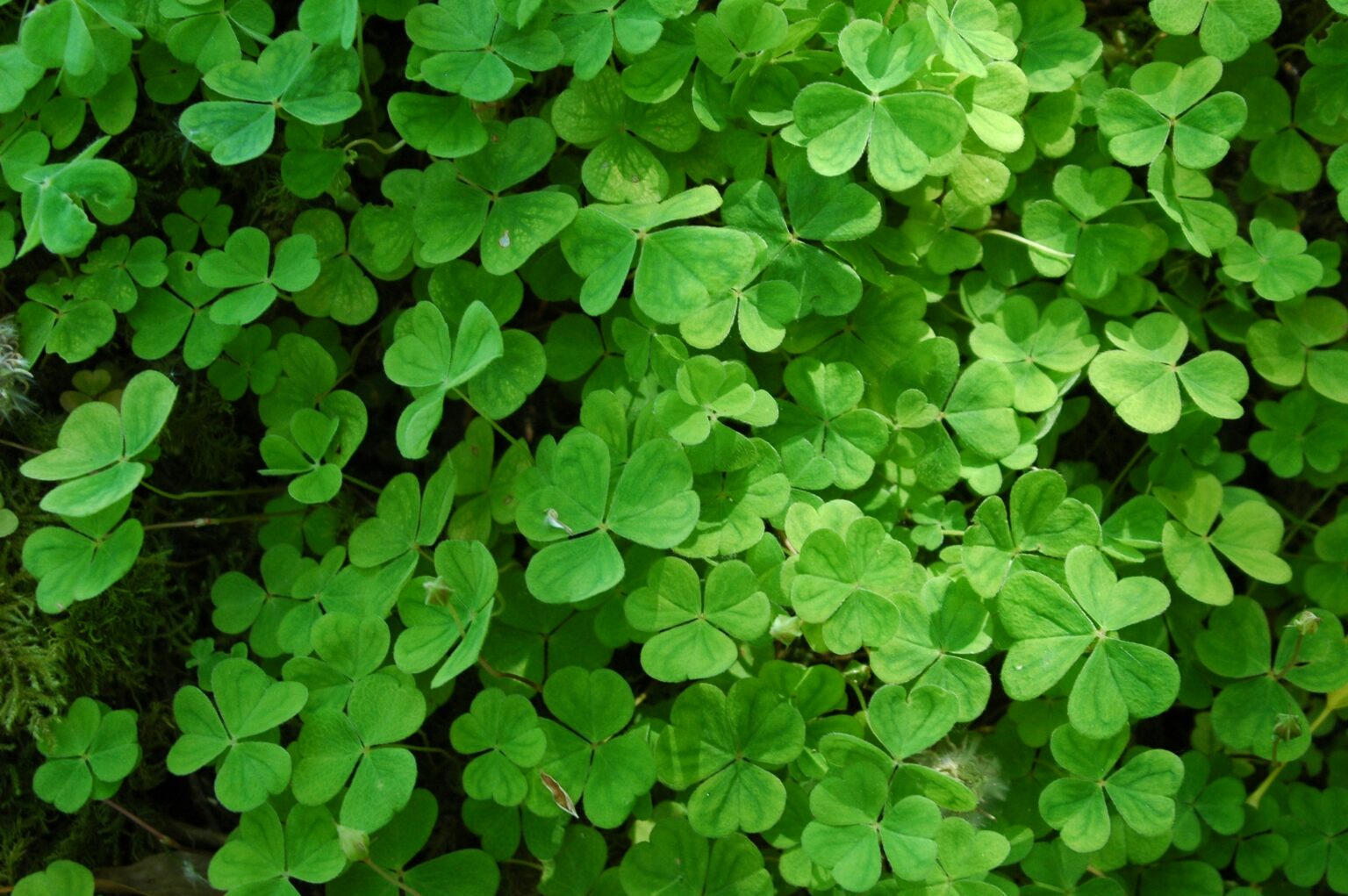 Ireland – A Green Land of Incredible History, Heritage and Natural Beauty