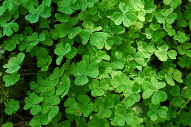 Ireland – A Green Land of Incredible History, Heritage and Natural Beauty