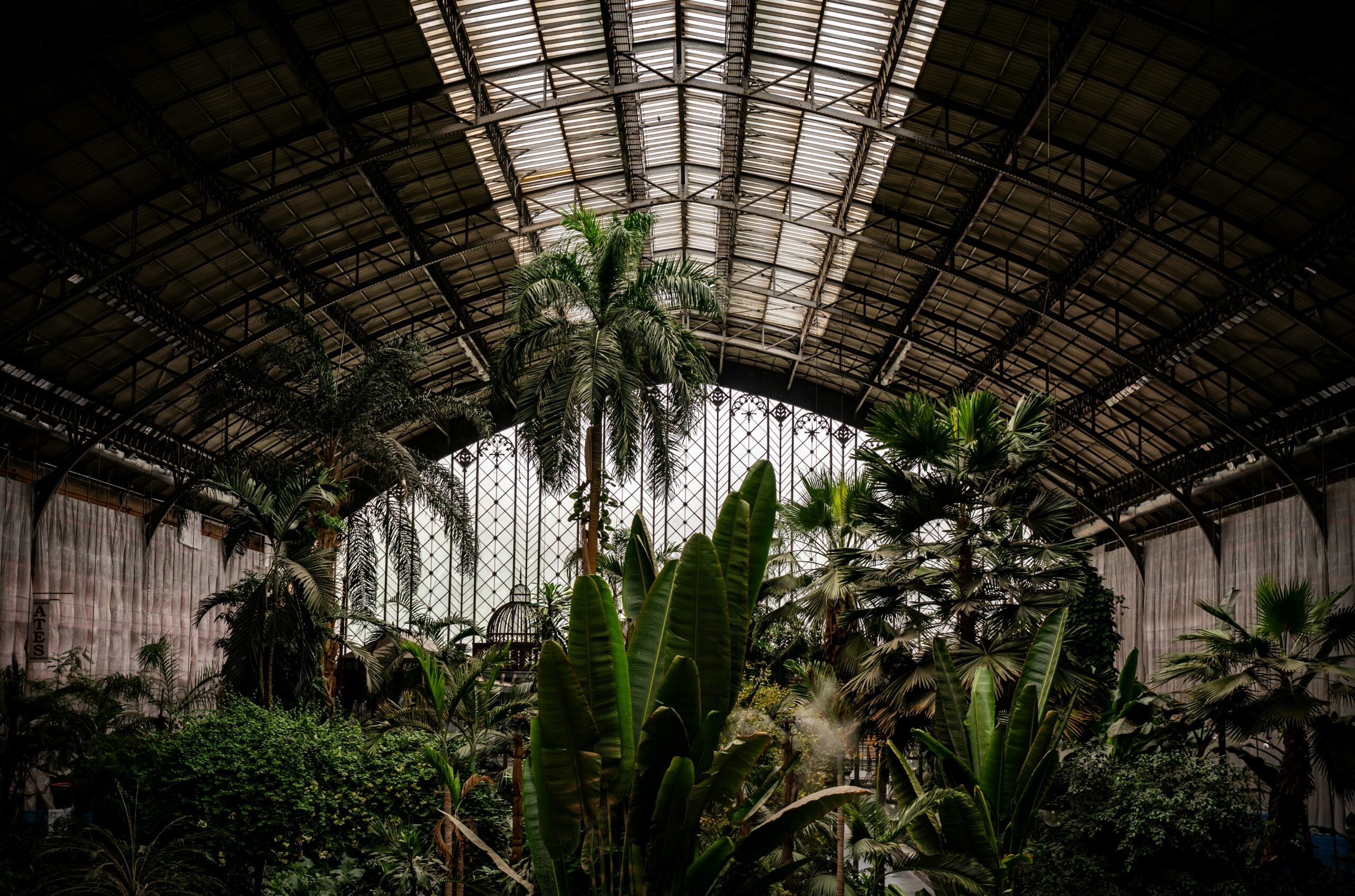 Madrid Atocha station tropical garden interior