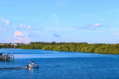 Naples, Florida – A Feast For the Senses