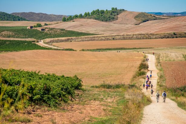 Pilgrims’ Guide to the Camino de Santiago