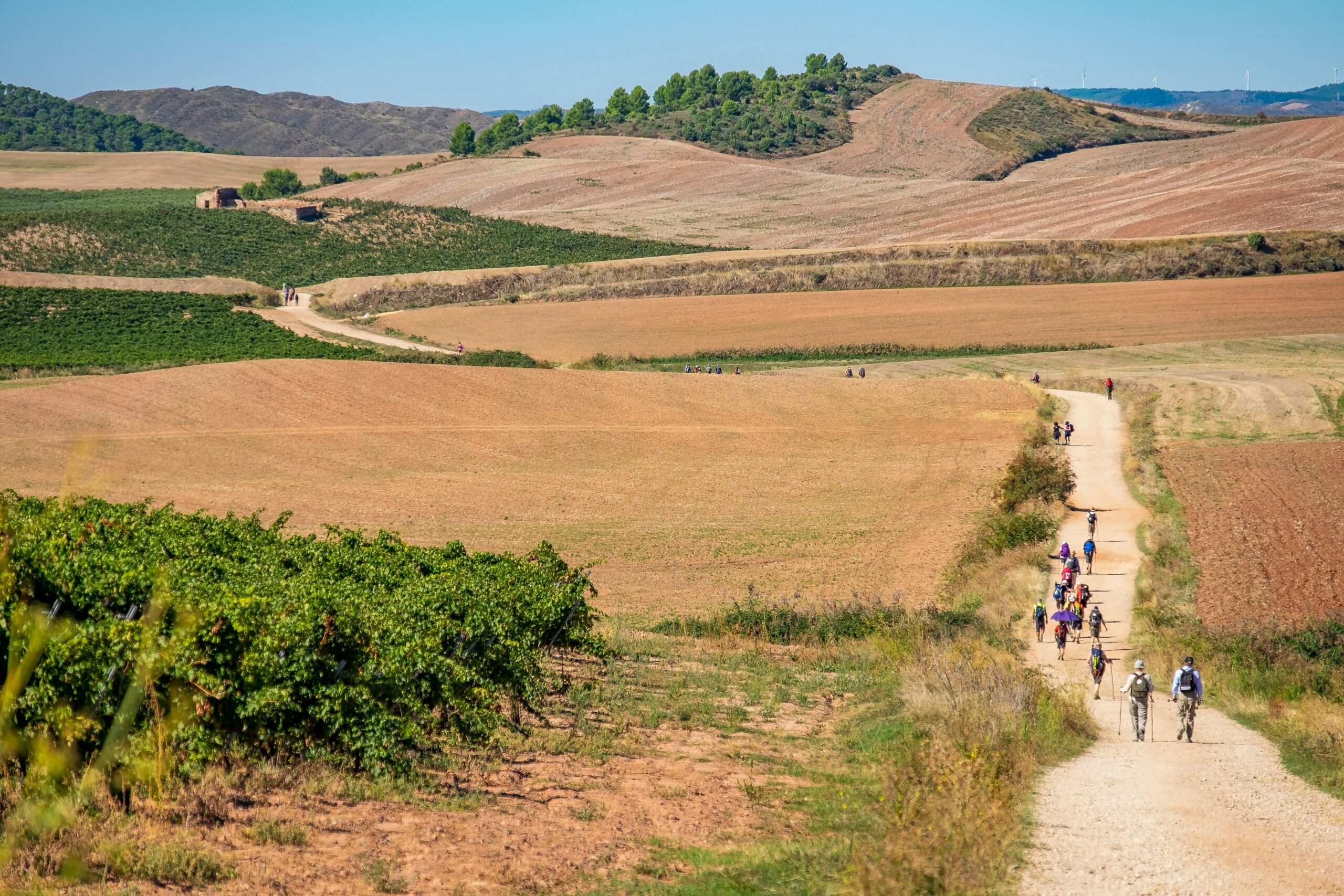 Pilgrim's Guide to the Camino de Santiago — Complete 2026