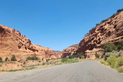 Scenic Road Trips
