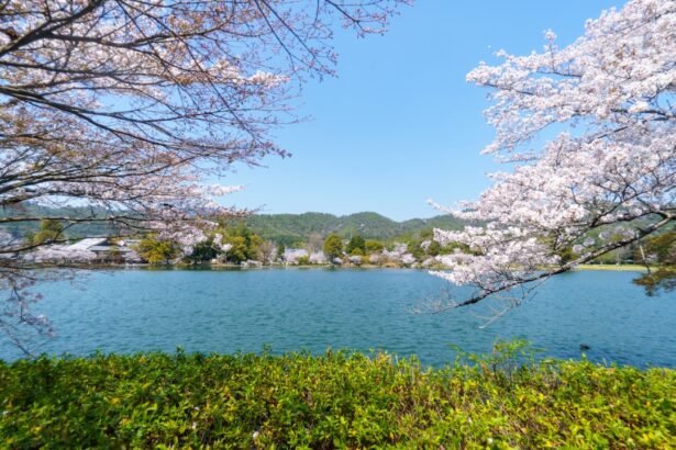 Spring Travel Spots