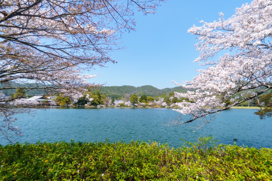 Spring Travel Spots