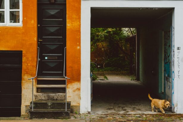 The Danes and Their Cultures
