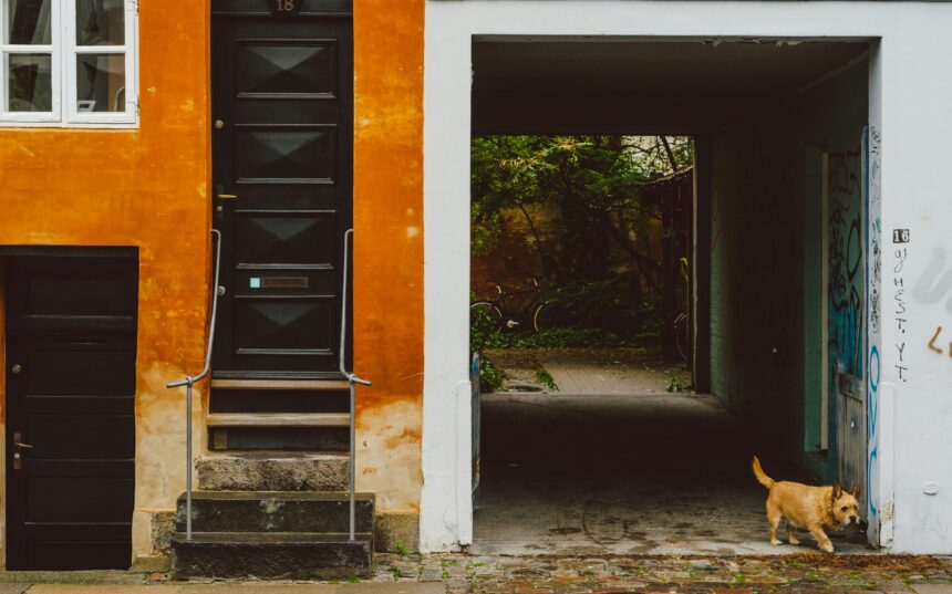The Danes and Their Cultures