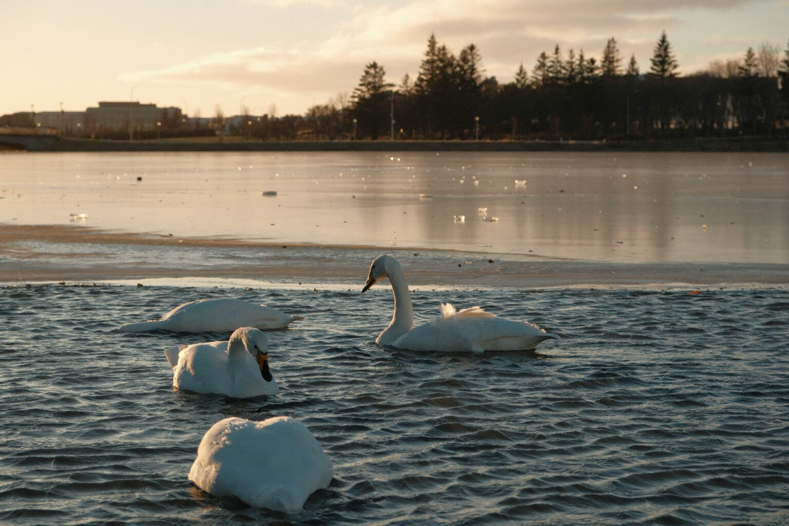 Top 5 Natural Attractions in Reykjavik, Iceland