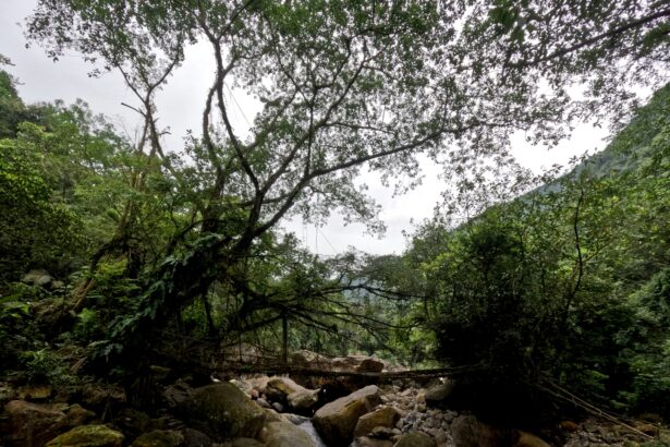 Top Sustainable Travel Destinations