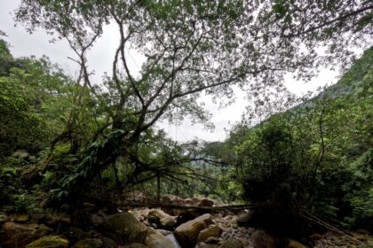 Top Sustainable Travel Destinations