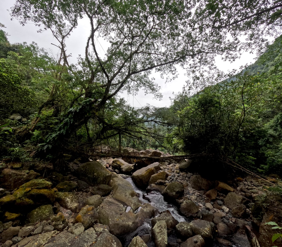 Top Sustainable Travel Destinations