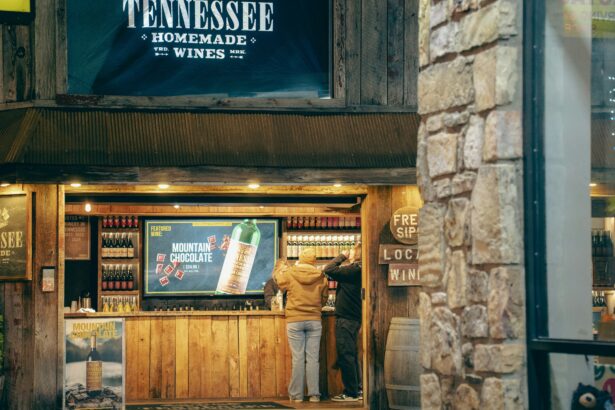 Top Wine-Tasting Tours in the United States