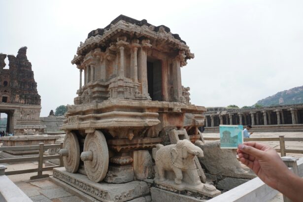 Viator tours and tickets