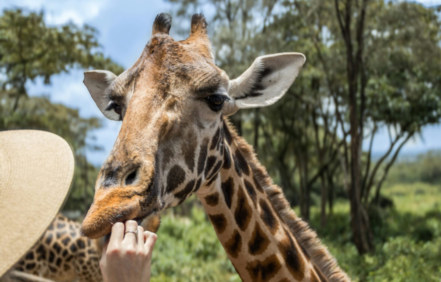 Wildlife Conservation Tours